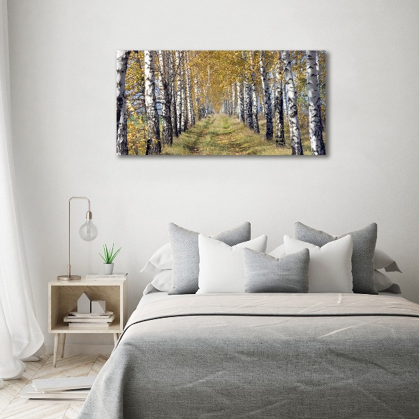 Print on acrylic Birches in autumn