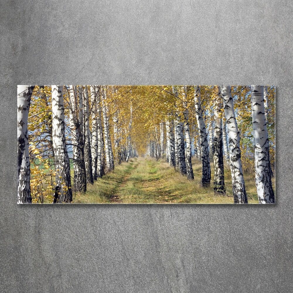 Print on acrylic Birches in autumn