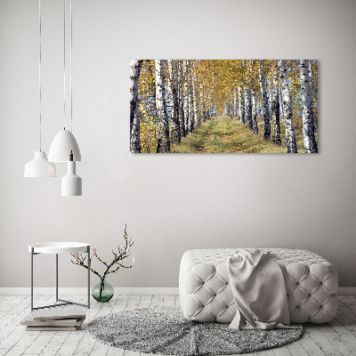 Print on acrylic Birches in autumn