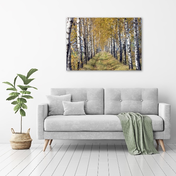 Print on acrylic Birches in autumn