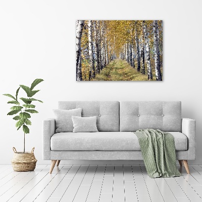 Print on acrylic Birches in autumn