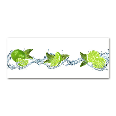 Acrylic wall picture Lime