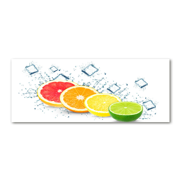 Acrylic wall picture Citrus fruits