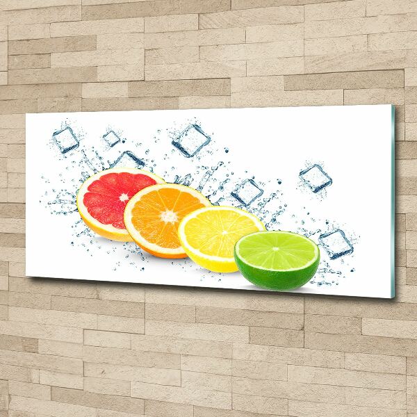 Acrylic wall picture Citrus fruits