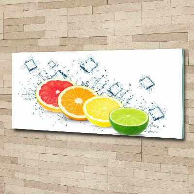 Acrylic wall picture Citrus fruits