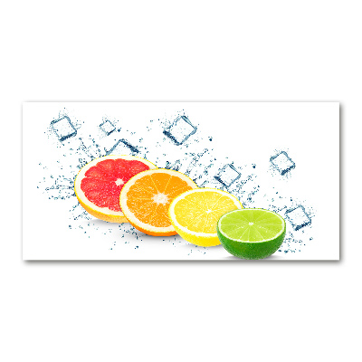 Acrylic wall picture Citrus fruits