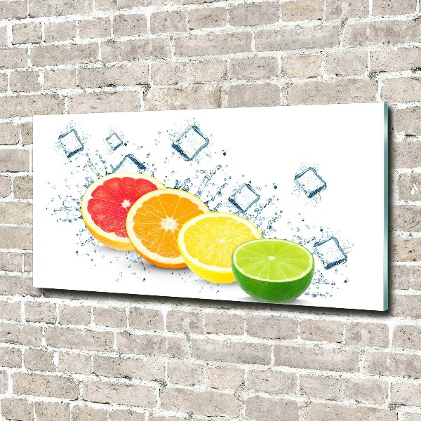 Acrylic wall picture Citrus fruits