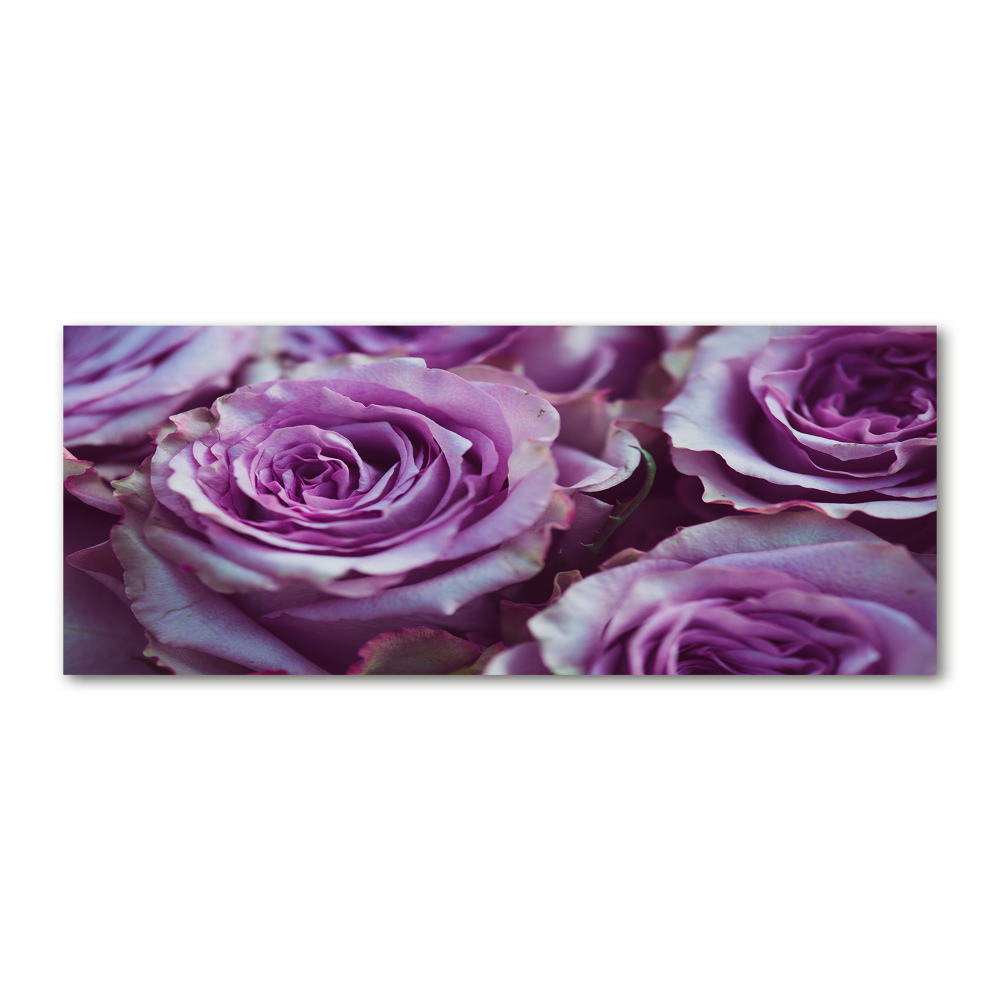 Acrylic wall art Purple roses