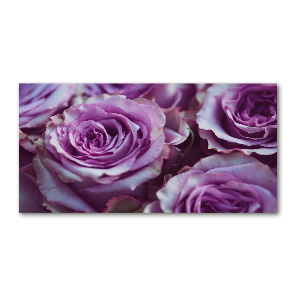 Acrylic wall art Purple roses