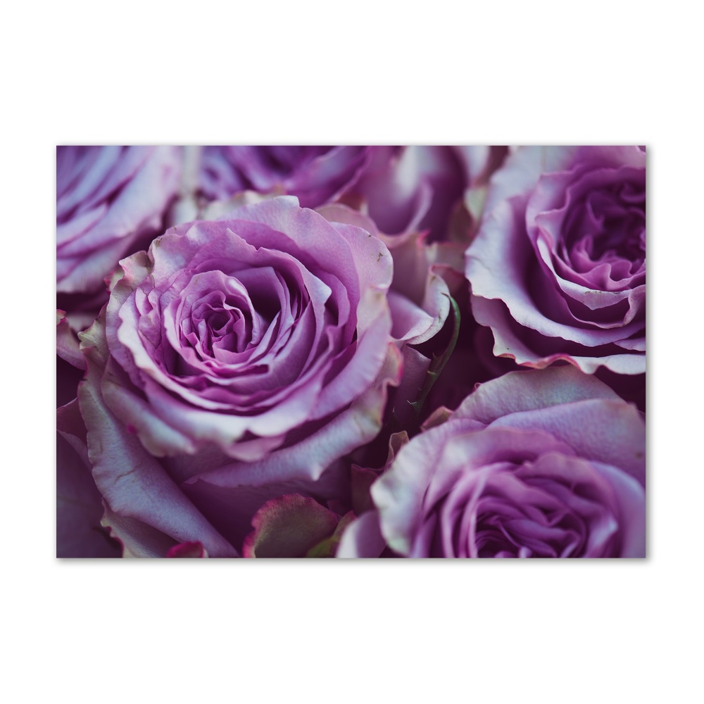 Acrylic wall art Purple roses