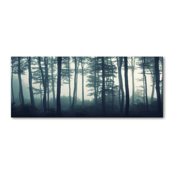 Wall art acrylic Forest in the fog