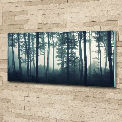 Wall art acrylic Forest in the fog