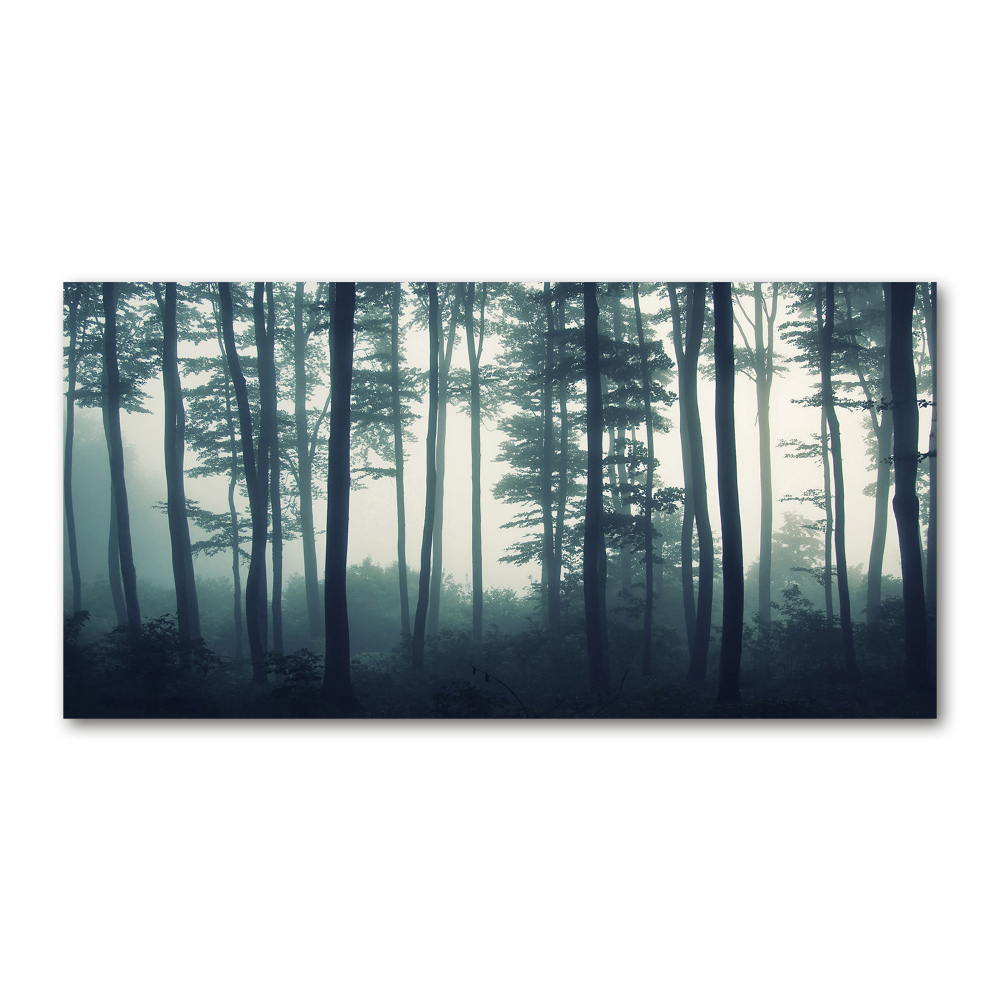 Wall art acrylic Forest in the fog