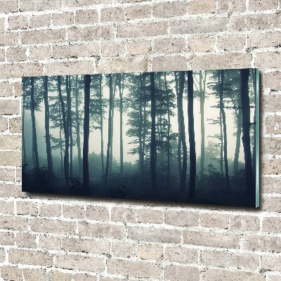 Wall art acrylic Forest in the fog