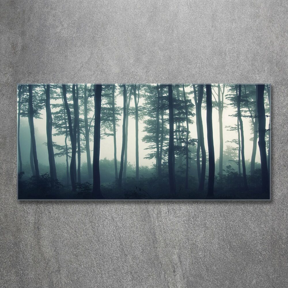 Wall art acrylic Forest in the fog