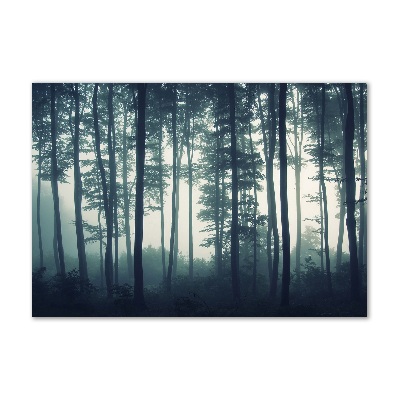 Wall art acrylic Forest in the fog