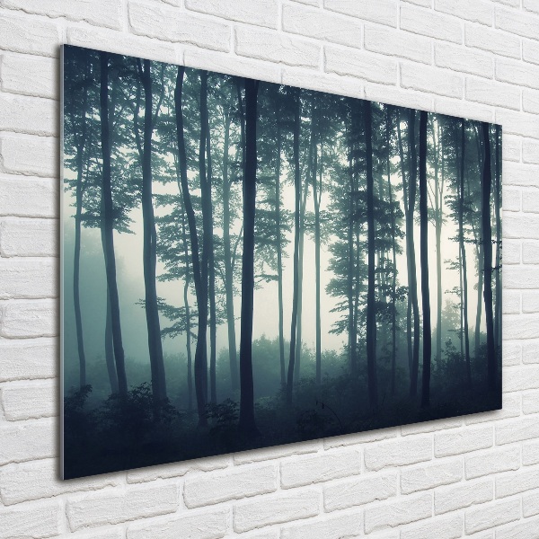 Wall art acrylic Forest in the fog