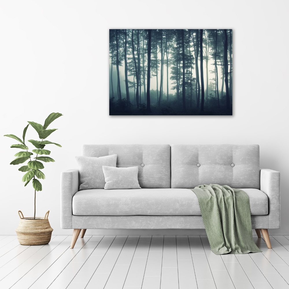 Wall art acrylic Forest in the fog