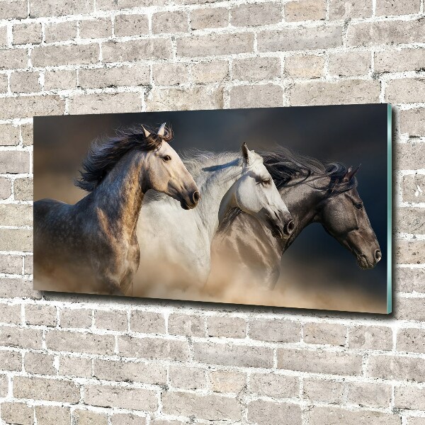 Print on acrylic Horses at gallop