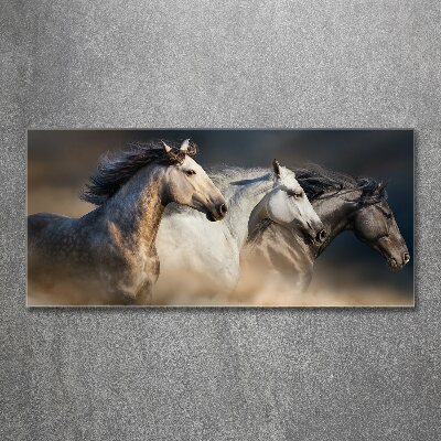 Print on acrylic Horses at gallop