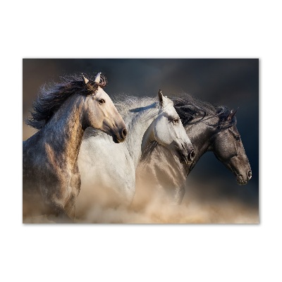 Print on acrylic Horses at gallop