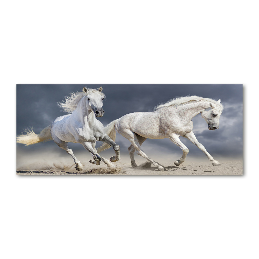 Print on acrylic White horses beach