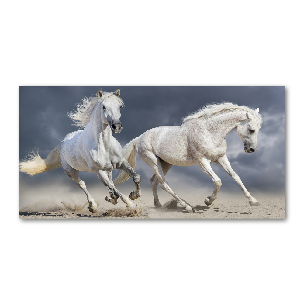 Print on acrylic White horses beach