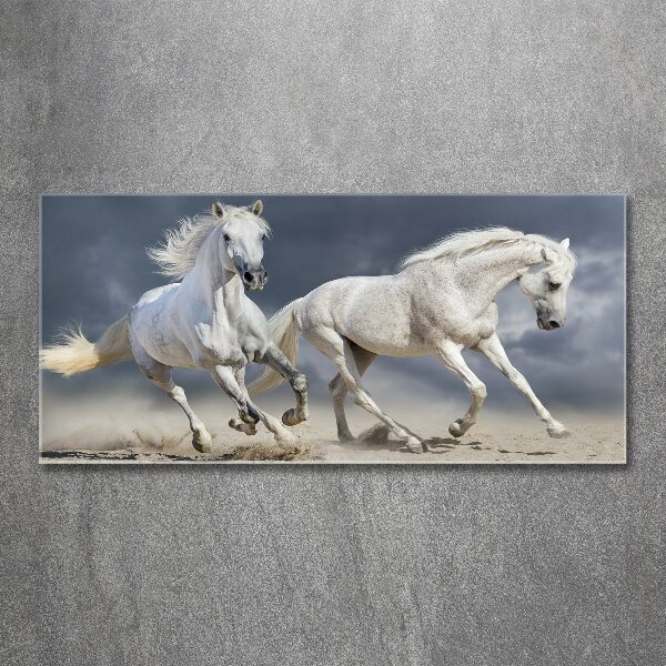 Print on acrylic White horses beach