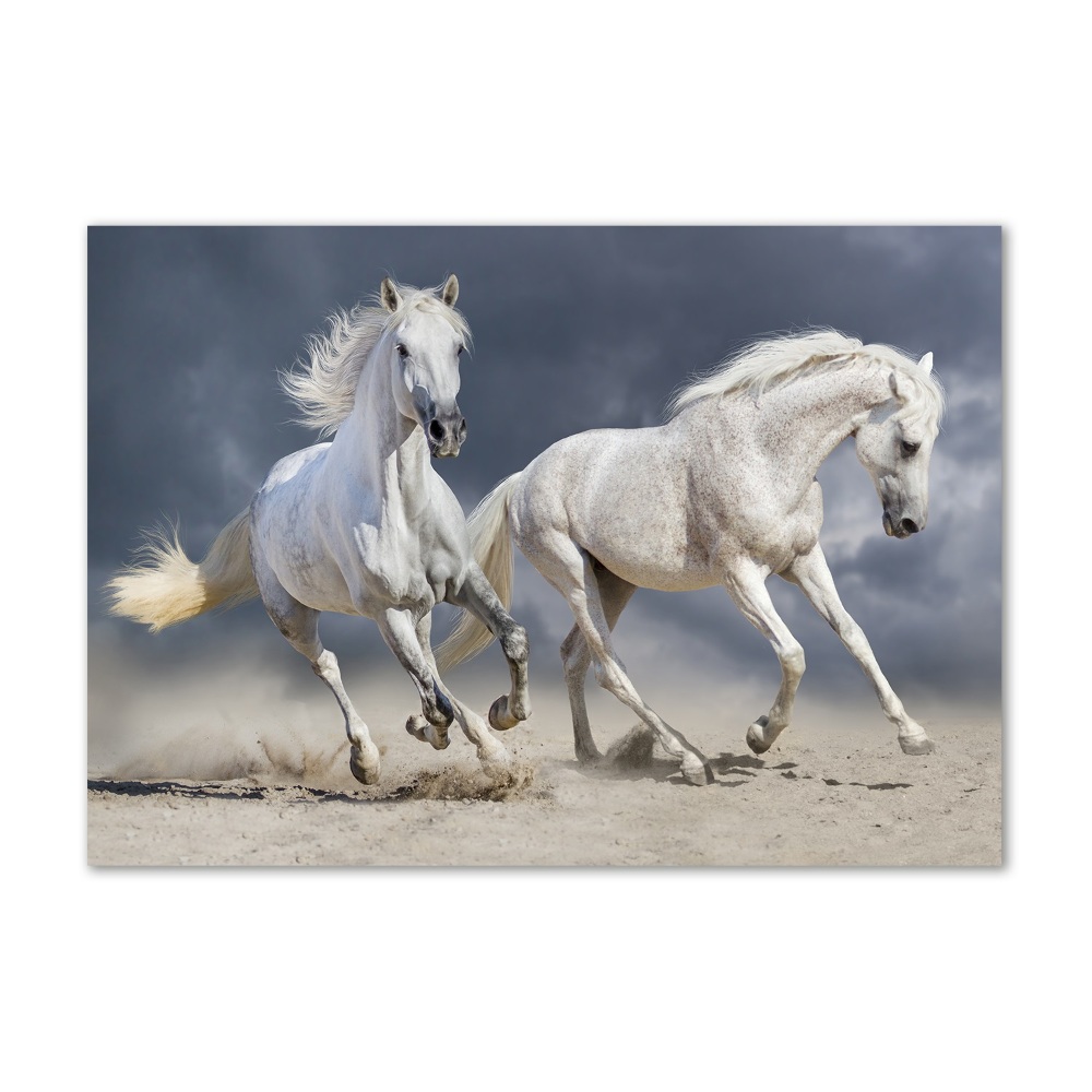 Print on acrylic White horses beach