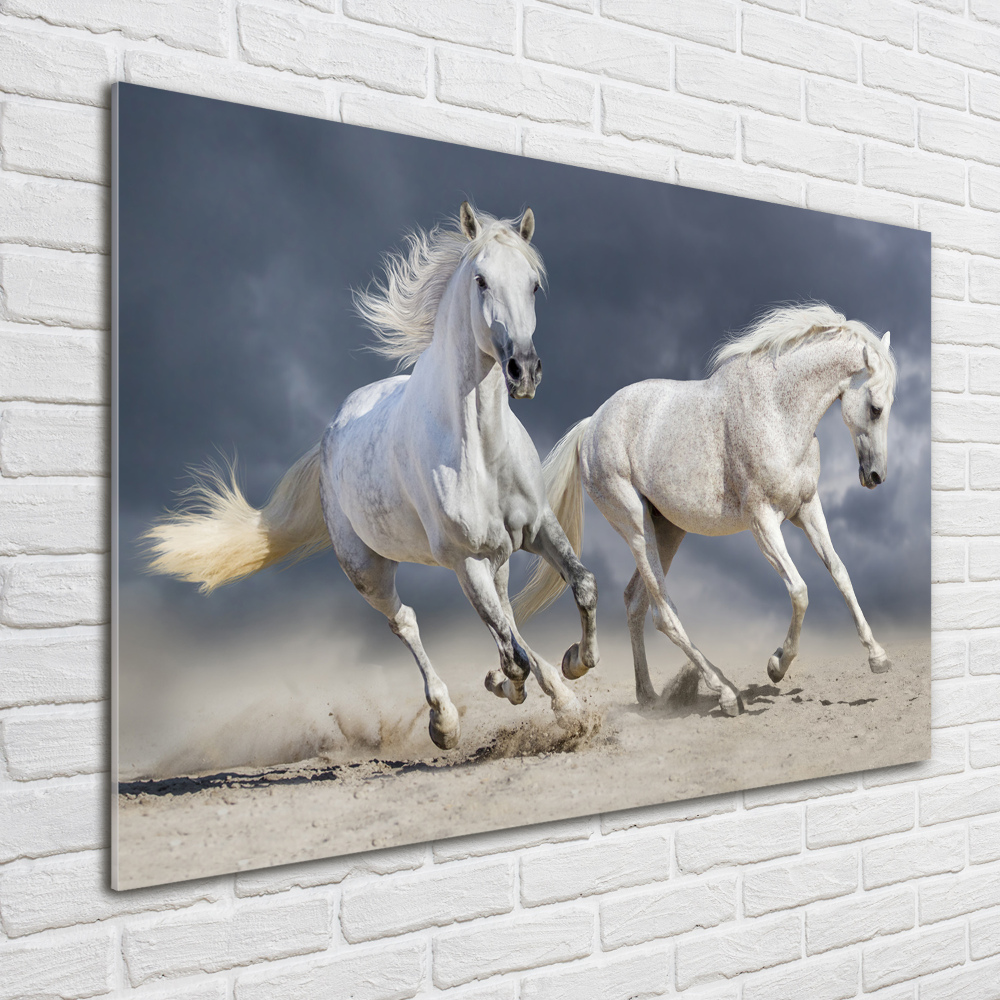 Print on acrylic White horses beach