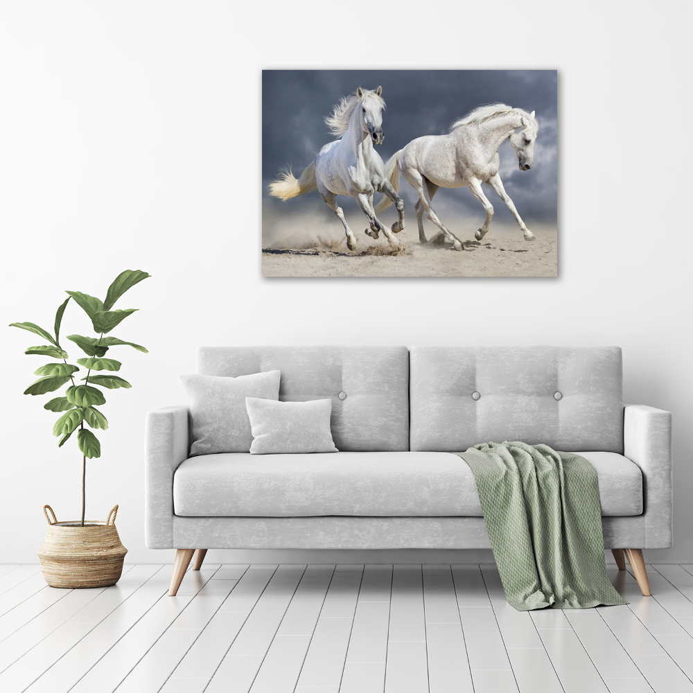 Print on acrylic White horses beach