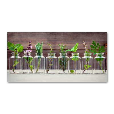 Wall art acrylic Plants in jars