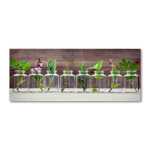 Wall art acrylic Plants in jars