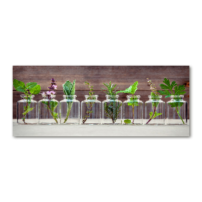 Wall art acrylic Plants in jars