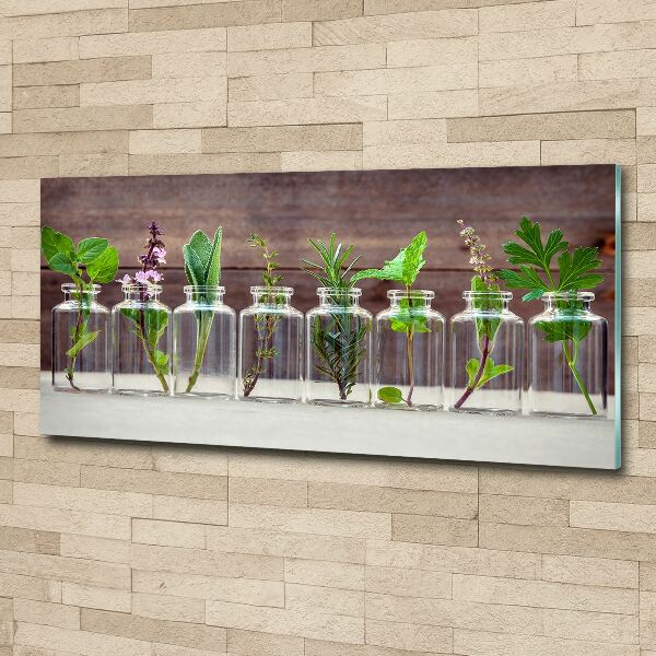 Wall art acrylic Plants in jars