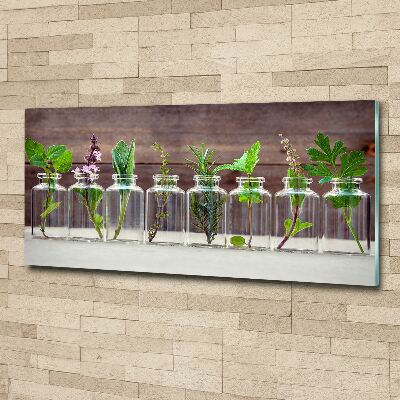 Wall art acrylic Plants in jars