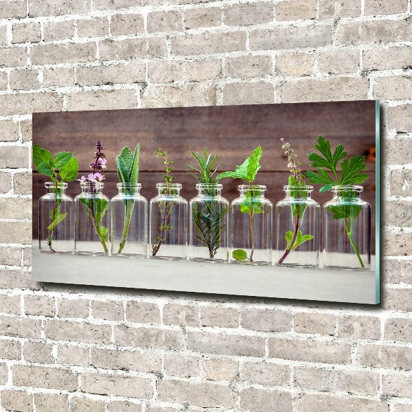 Wall art acrylic Plants in jars