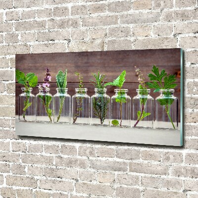 Wall art acrylic Plants in jars