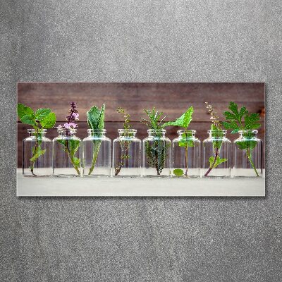 Wall art acrylic Plants in jars