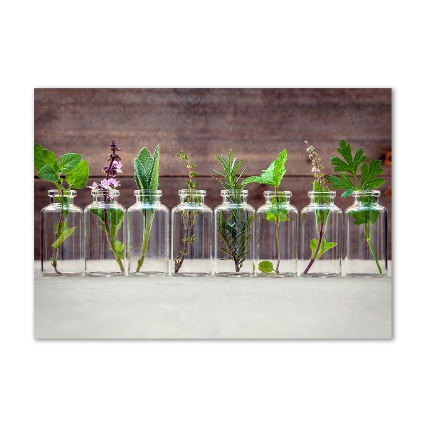 Wall art acrylic Plants in jars