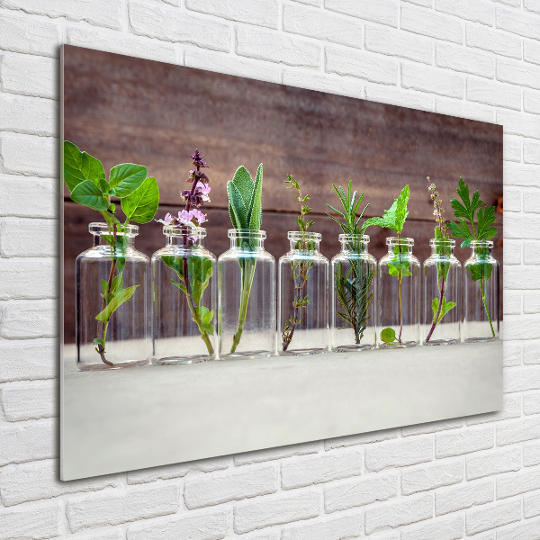 Wall art acrylic Plants in jars