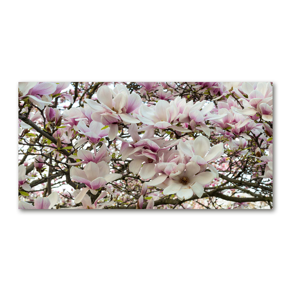 Wall art acrylic Magnolia flowers