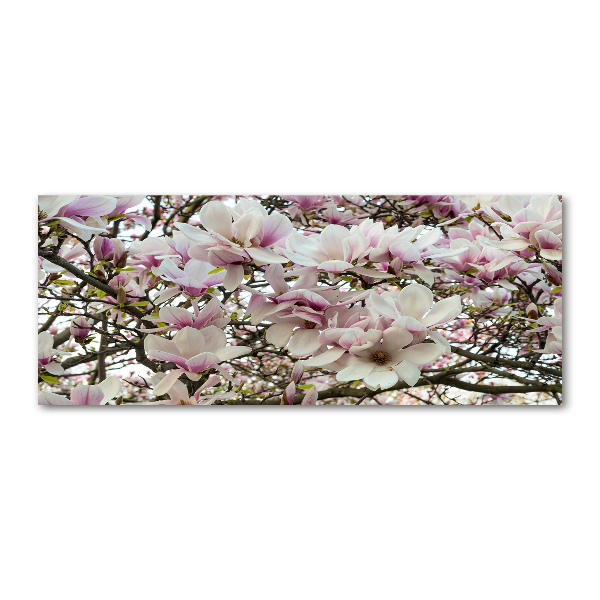 Wall art acrylic Magnolia flowers