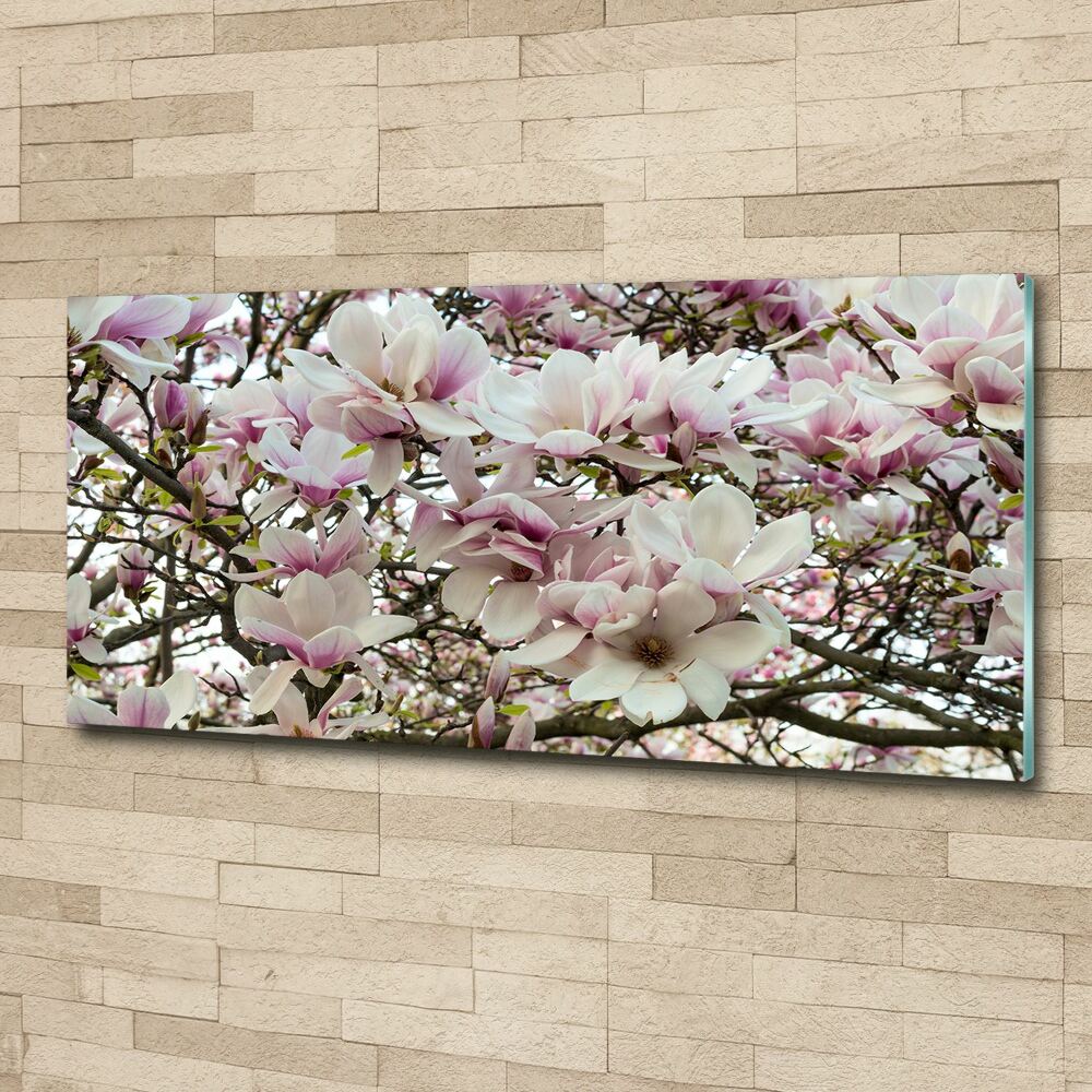 Wall art acrylic Magnolia flowers