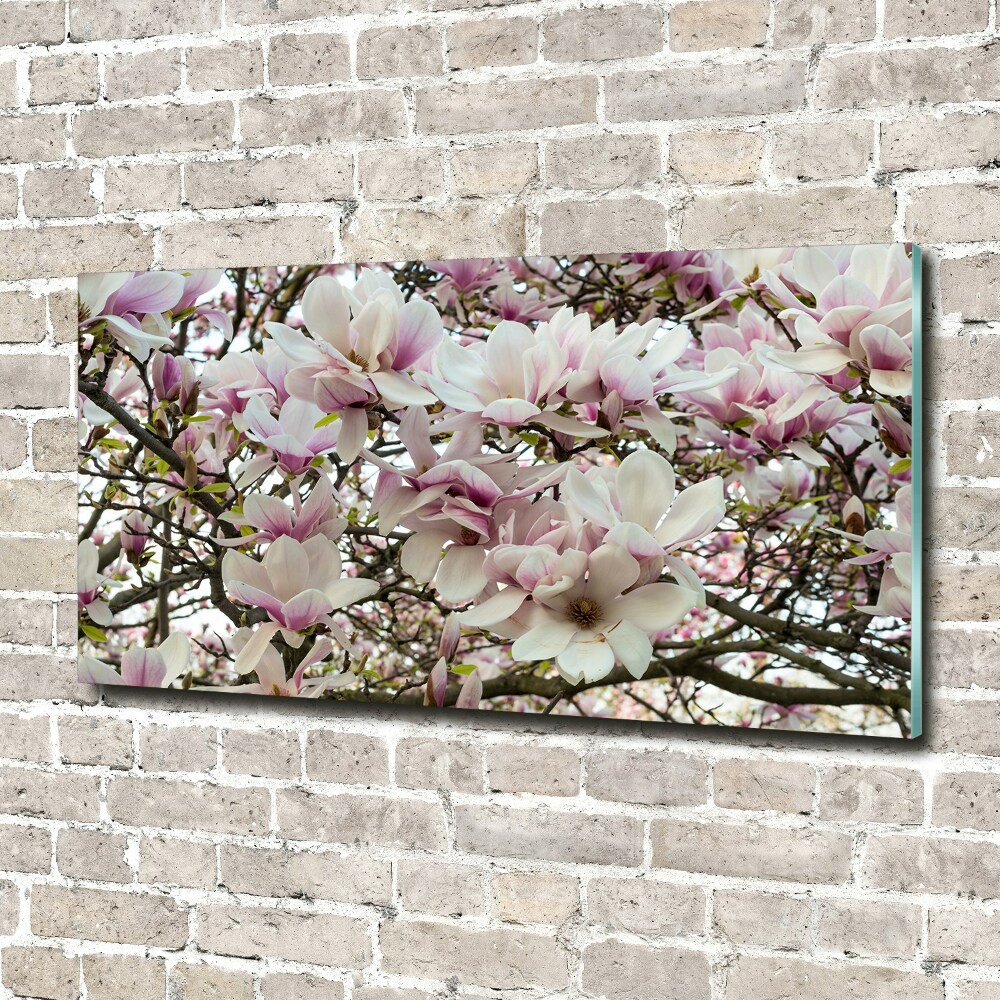 Wall art acrylic Magnolia flowers