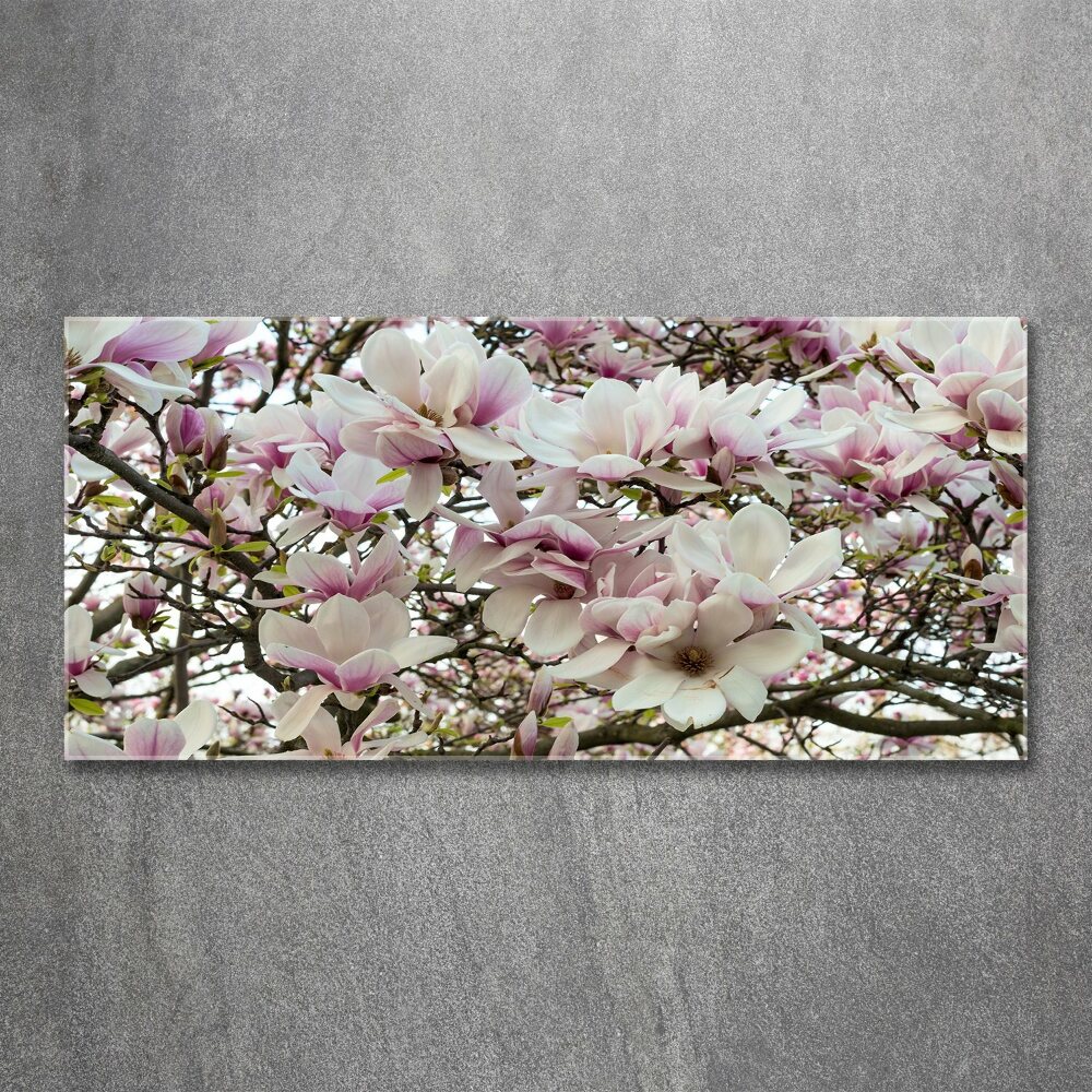 Wall art acrylic Magnolia flowers