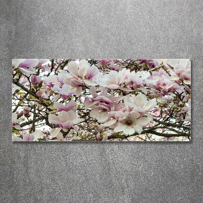 Wall art acrylic Magnolia flowers