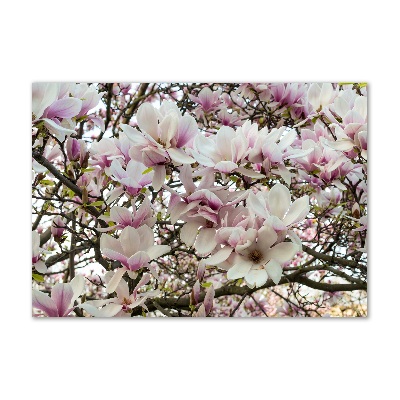 Wall art acrylic Magnolia flowers