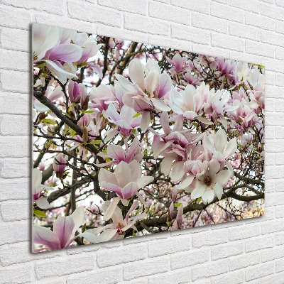 Wall art acrylic Magnolia flowers