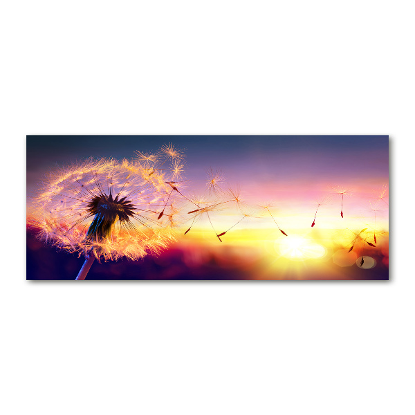 Acrylic wall art Dandelion